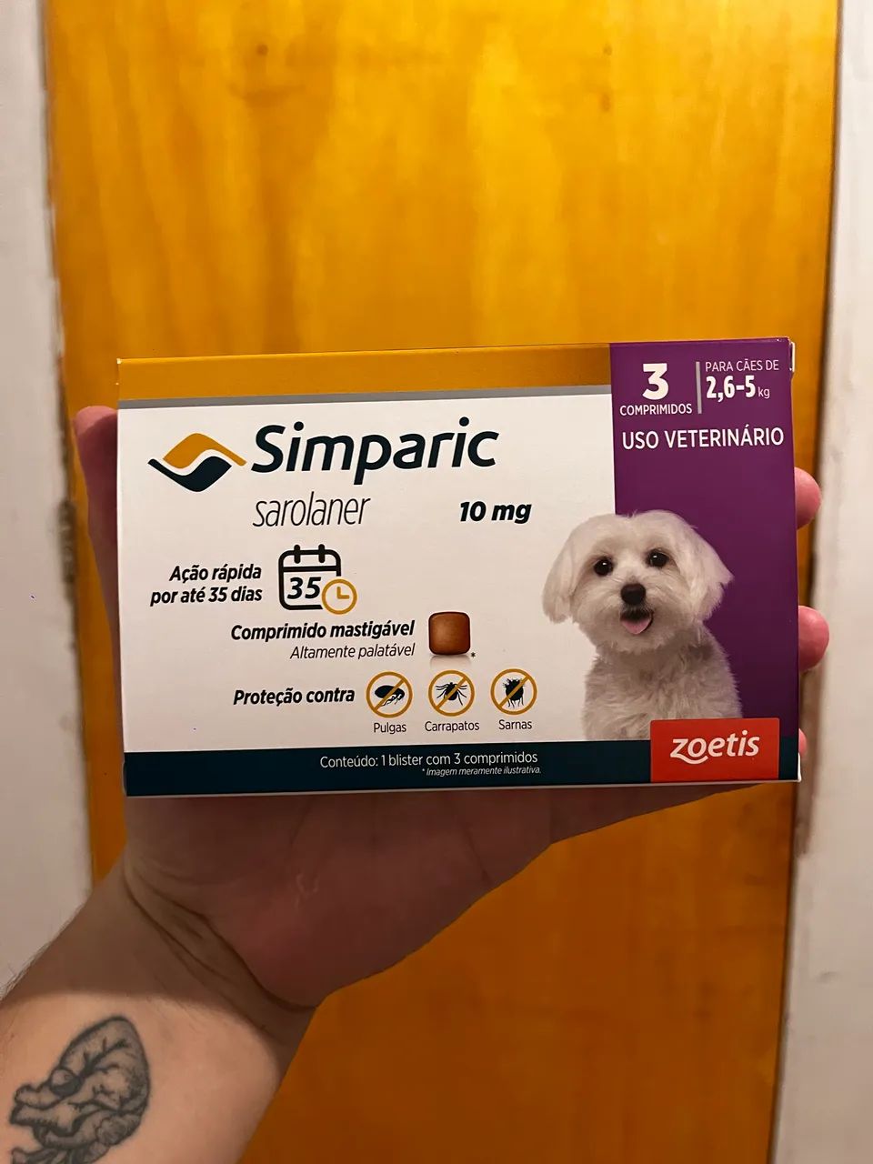 Boneco e Simparic  - Foto 3