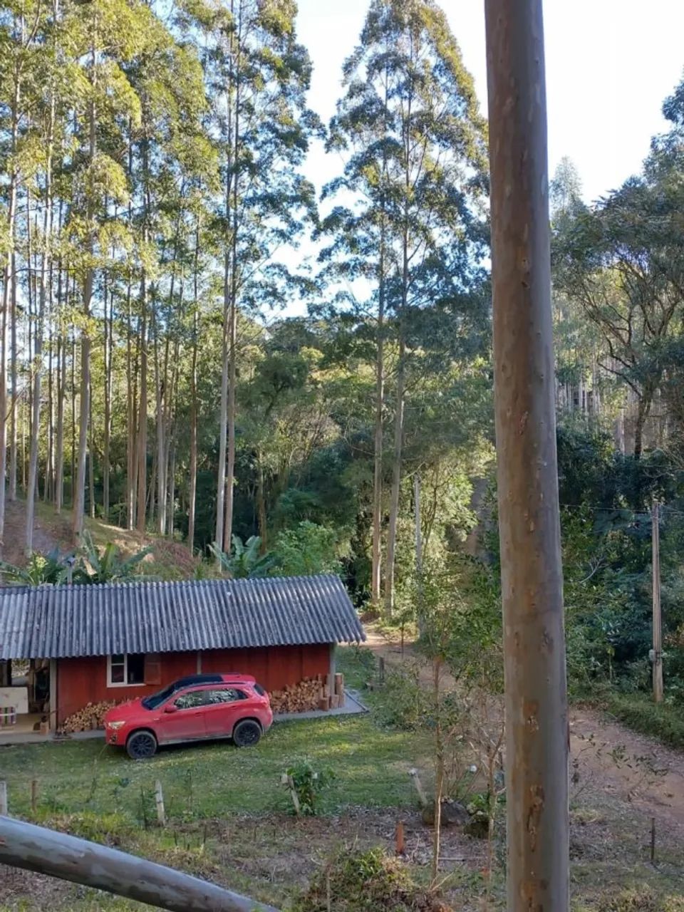 Sítio / Chácara para Venda em São Bonifácio, Centro - Foto 5