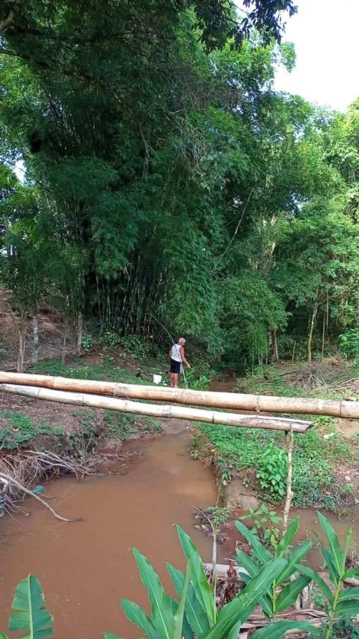 Chácara em doutor Ulisses pr - Foto 5