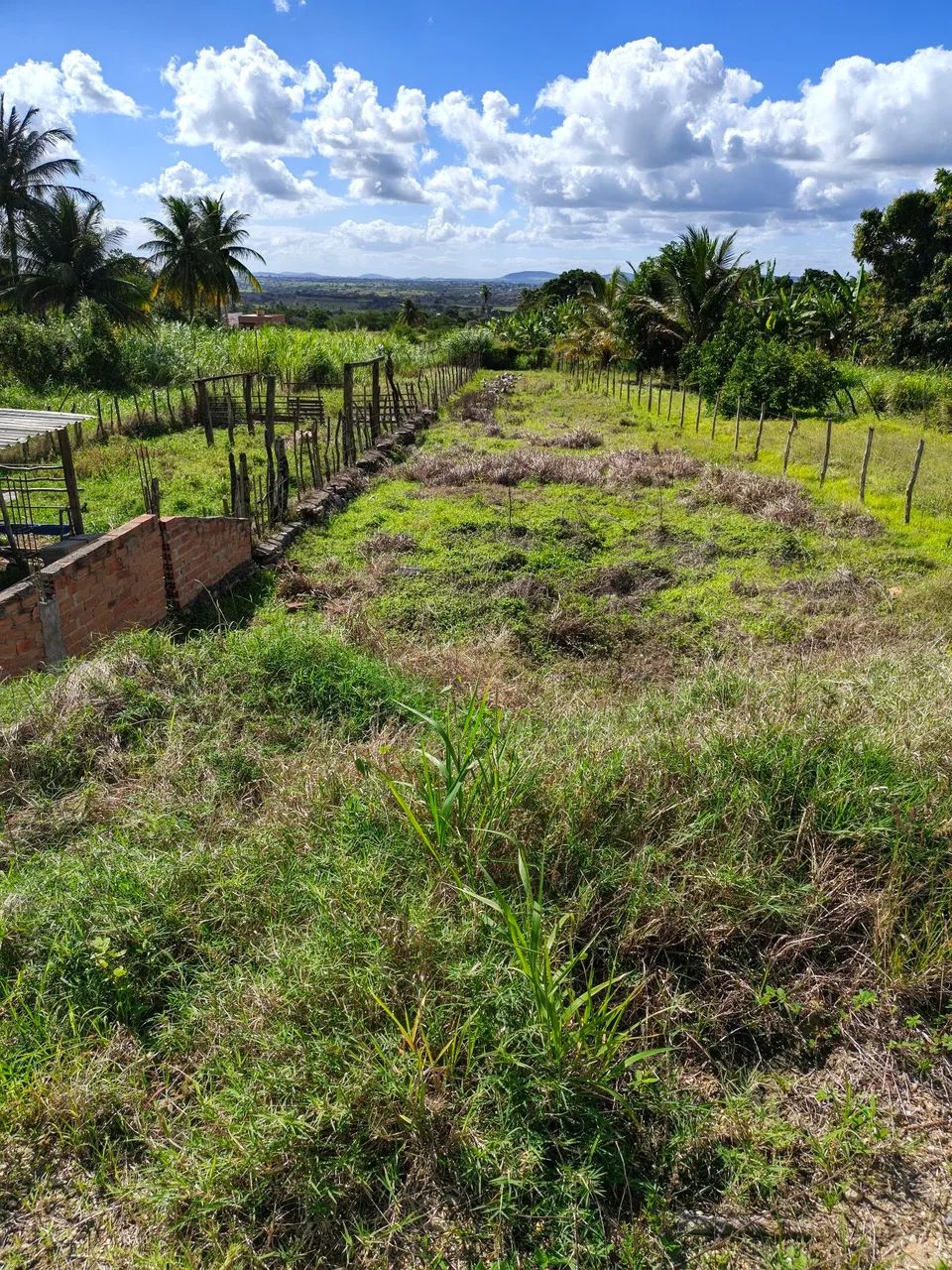 Terreno no povoado bom jardim em itabaiana - Foto 3