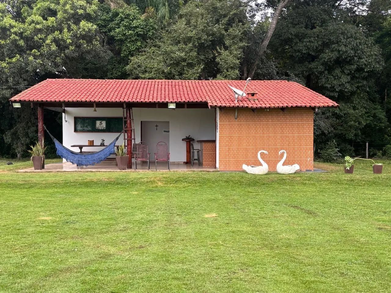 Fazenda Top 110 Alqueires 