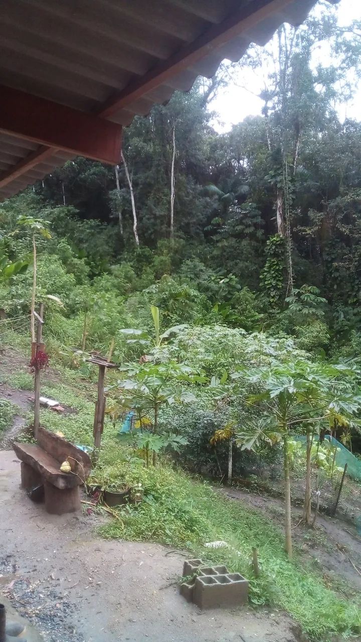 Chacara com duas casas