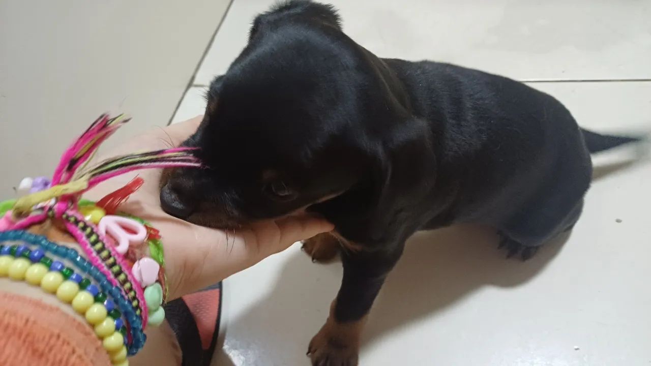 Doação  - Foto 5