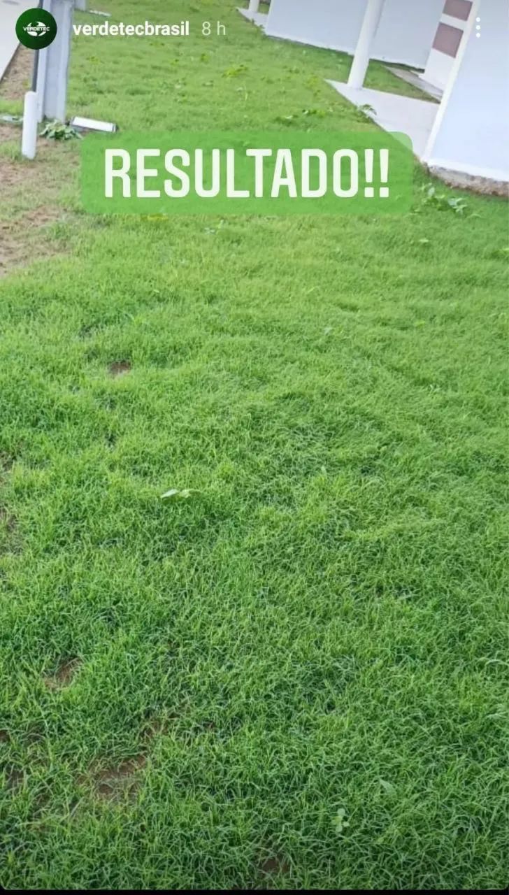 Hidrossemeadura  - Foto 4