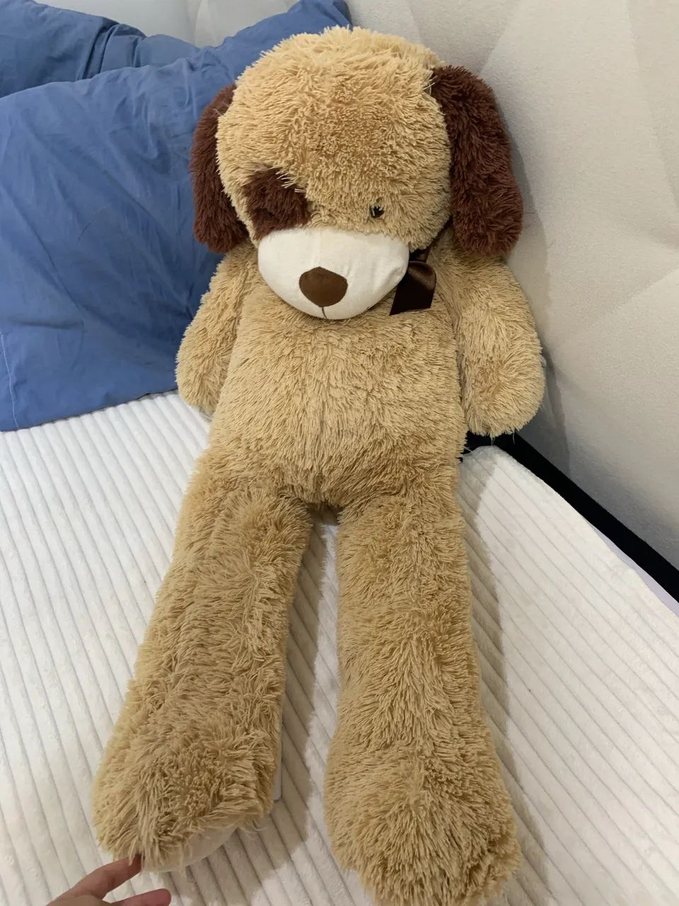 Urso Grande  - Foto 2