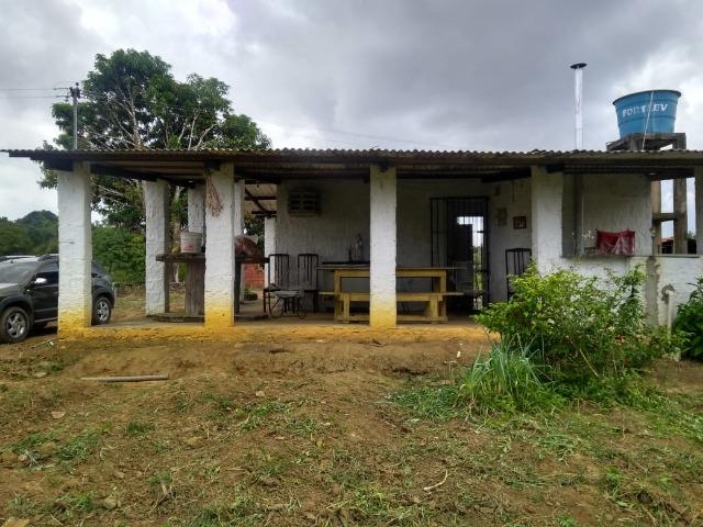 Chacara - Foto 14