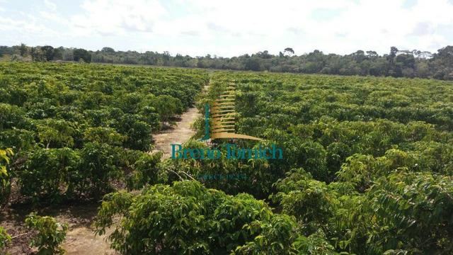 Sítio á 16km de Porto Seguro - Foto 12