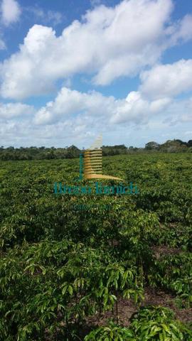 Sítio á 16km de Porto Seguro