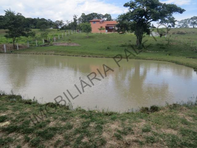 REF 240 Chácara 6000 m², açude com peixes, mata nativa, excelente casa, Imobiliária Paletó - Foto 15