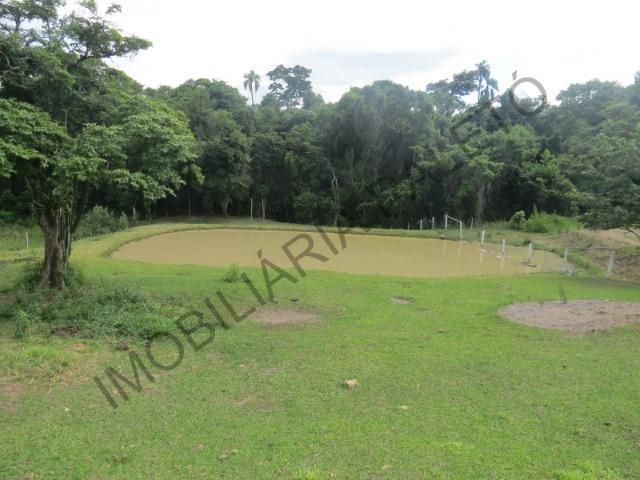 REF 240 Chácara 6000 m², açude com peixes, mata nativa, excelente casa, Imobiliária Paletó