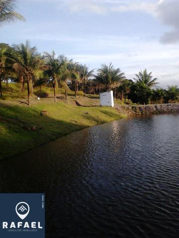 Vendo Chácara em batateira - Foto 2