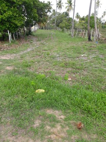 Patacho, venha morar ou ter um negocio em uma das praias mais belas do país.