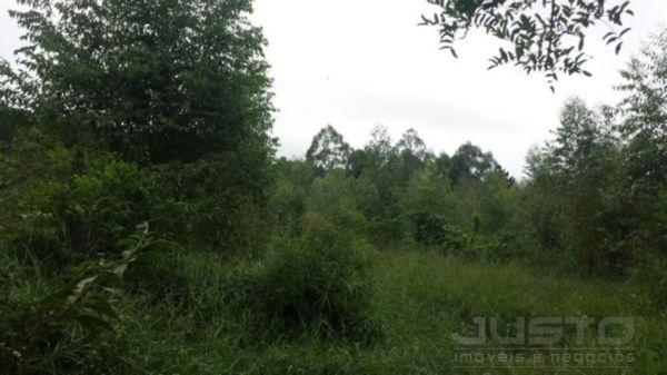 Terreno à venda em Morro de paula, São leopoldo cod:8070