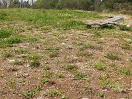 Terreno à venda em Sao luiz, Caxias do sul cod:11227 - Foto 6