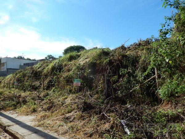 Terreno à venda em Cristo rei, São leopoldo cod:5956 - Foto 3
