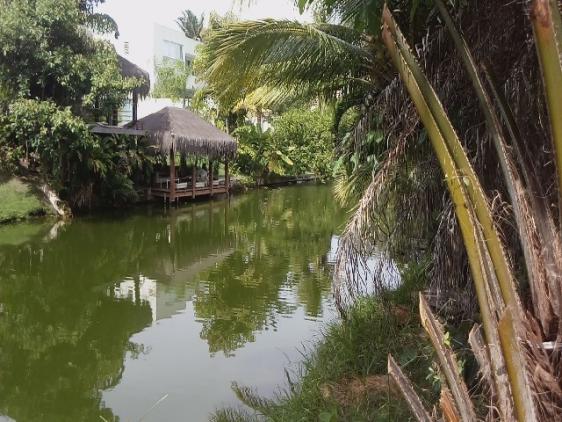 Terreno excelente no resort busca vida. camaçari, bahia. 740m² - Foto 2