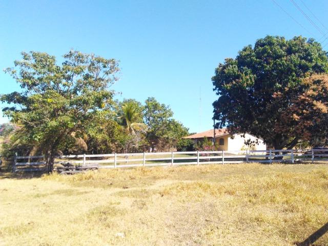 Fazenda Rio dos Bois, Cezarina, 8 Alq ,prox. Varjão-Gercinapolis, 100km de Goiânia - Foto 11