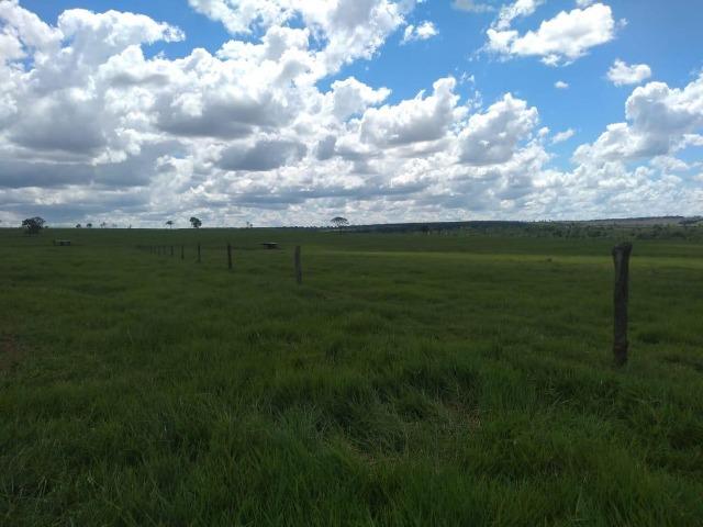 Fazenda pecuária 320 alq. Mato Grosso do Sul - Foto 12