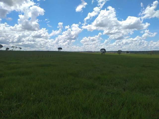 Fazenda pecuária 320 alq. Mato Grosso do Sul - Foto 16