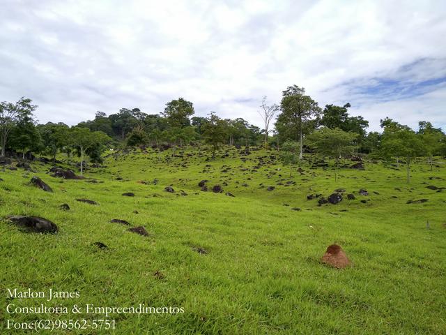 Fazenda em Americano do Brasil-Go! - Foto 14