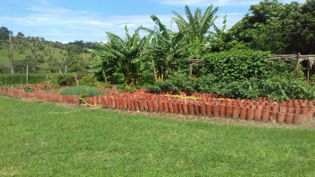 Santo Antônio do Descoberto - Goiás - Foto 9