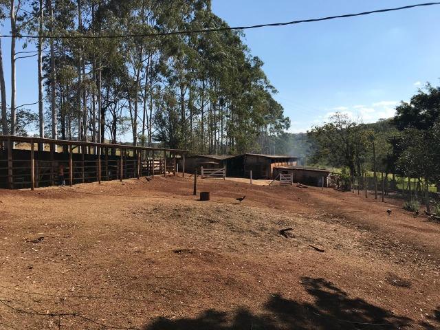 Sitio de 4 Alqueires em Londrina Pr - Foto 18