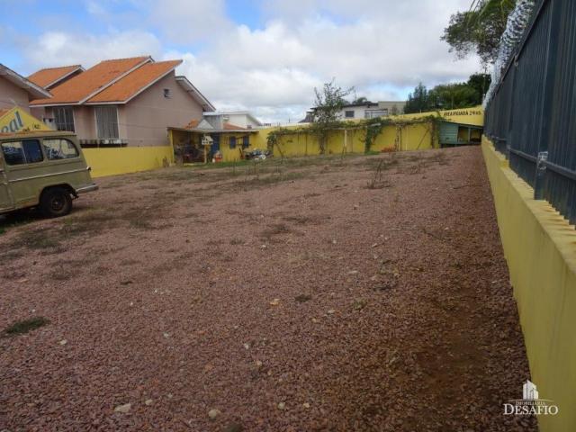 Terreno para alugar em Jardim carvalho, Ponta grossa cod:2015/1625 - Foto 4