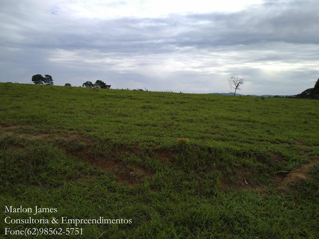 Fazenda em Americano do Brasil! - Foto 9