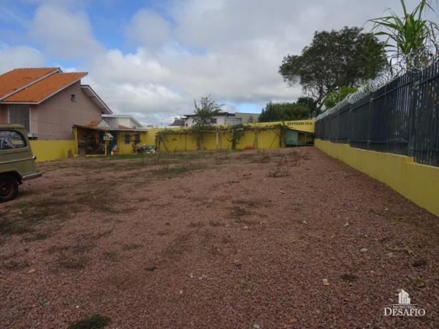 Terreno para alugar em Jardim carvalho, Ponta grossa cod:2015/1625 - Foto 3