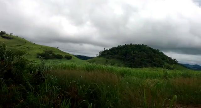 Propriedade de 140 hectares, entre Vitória e Escada-PE. - Foto 11