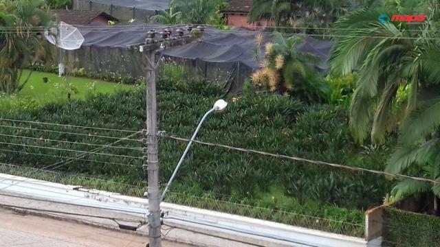 Terreno para alugar em Tiroleses, Timbó cod:2556 - Foto 2