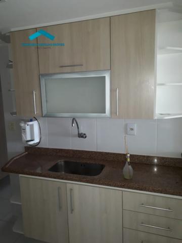 Apartamentos braga olx