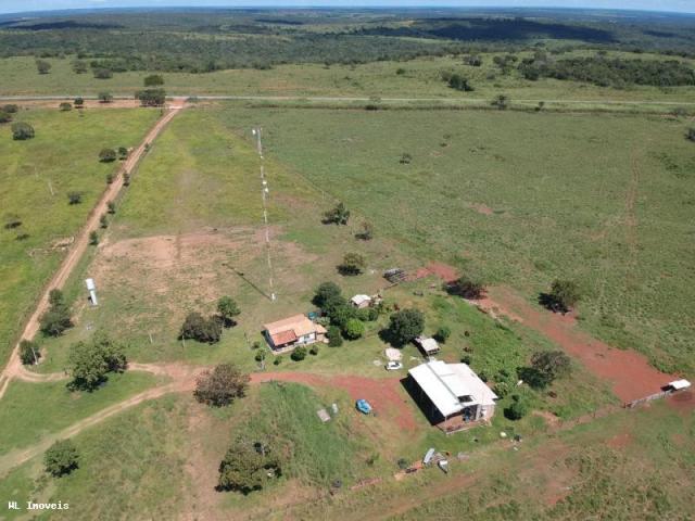 Fazenda para Venda em Gurupi, Área Rural de Gurupi, 3 dormitórios, 2 banheiros, 5 vagas - Foto 4