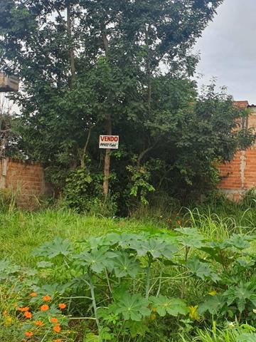 Lote escriturado Jardim Veneza ( Aparecida de Goiânia)