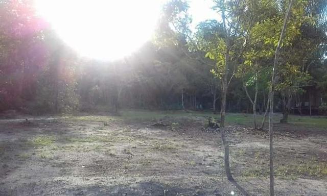Lindo Terreno 50×100 - Foto 2