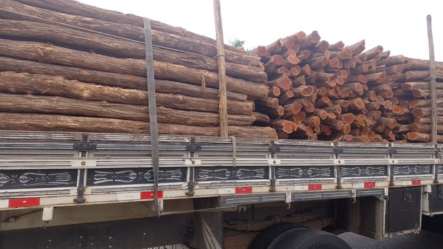 VENDO ESTACAS SABIÁ/ESTICADORES   - Foto 4