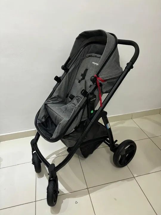 Carinho e bebê conforto voyage 