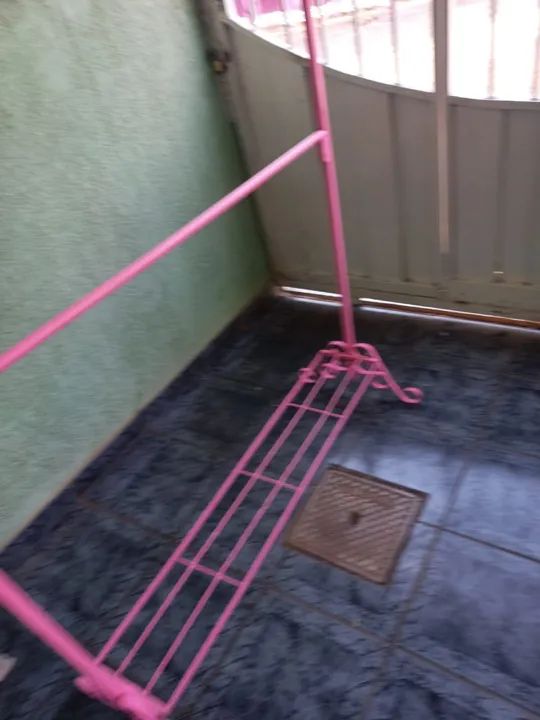Arara rosa  - Foto 2