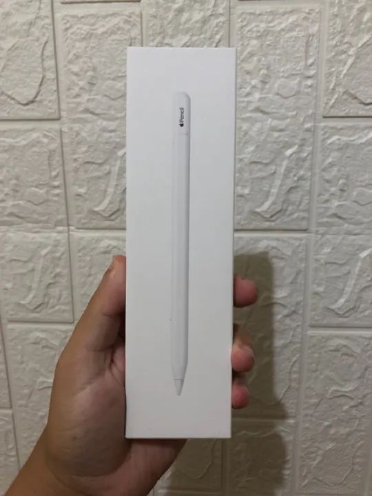 Apple Pencil (USB-C) para iPad, iPad Mini, iPad Air e iPad Pro - Nova e Lacrada