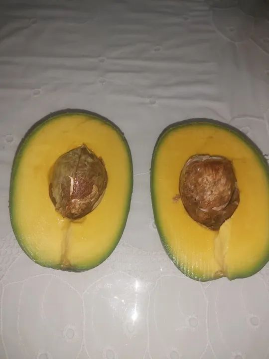 Mudas Graviola Gigante,Saputilha  - Foto 6