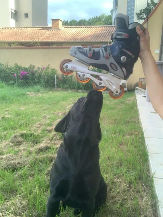 Patins Inline Adulto - Tamanho 39 - Foto 3