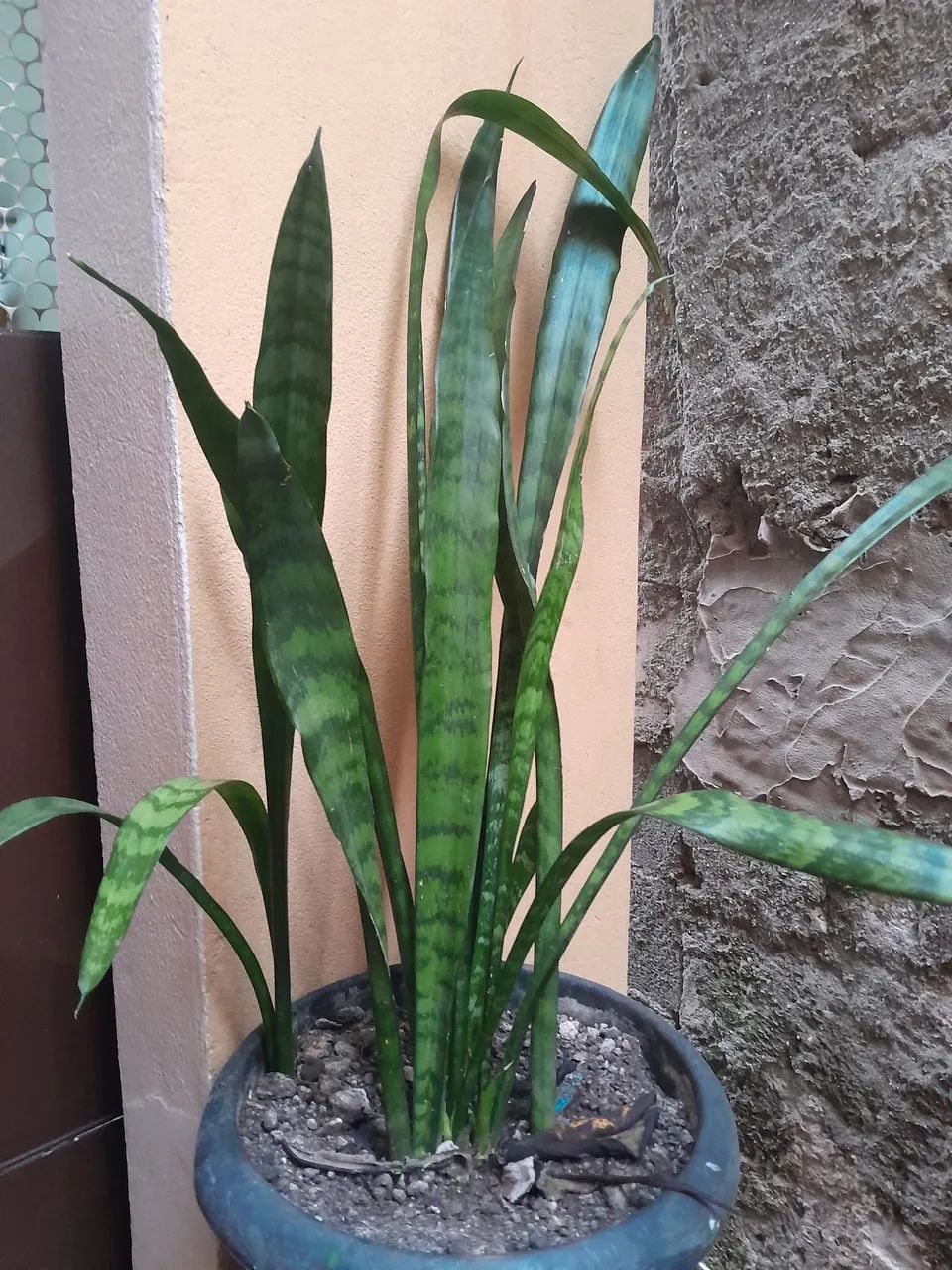 Foto - Santo André - Jardim Aclimação