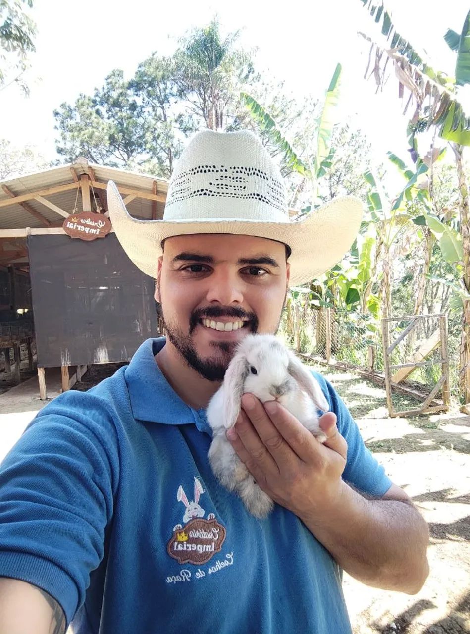 MENOR E MAIOR RACA DE COELHO DE COMPANHIA DO MUNDO (CRIATÓRIO LEGALIZADO) - Foto 5