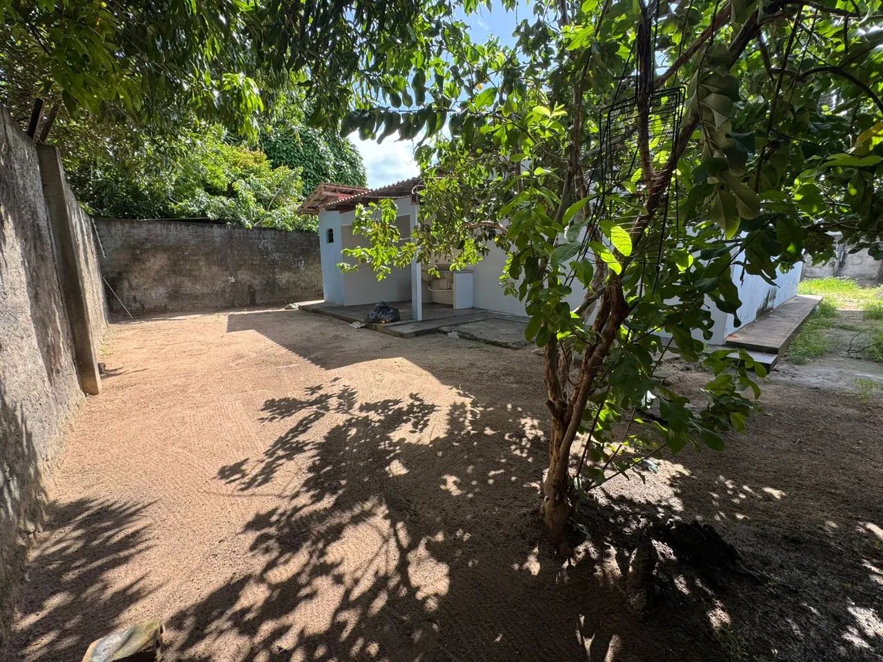 Foto - Boa Vista - Professora Araceli Souto Maior