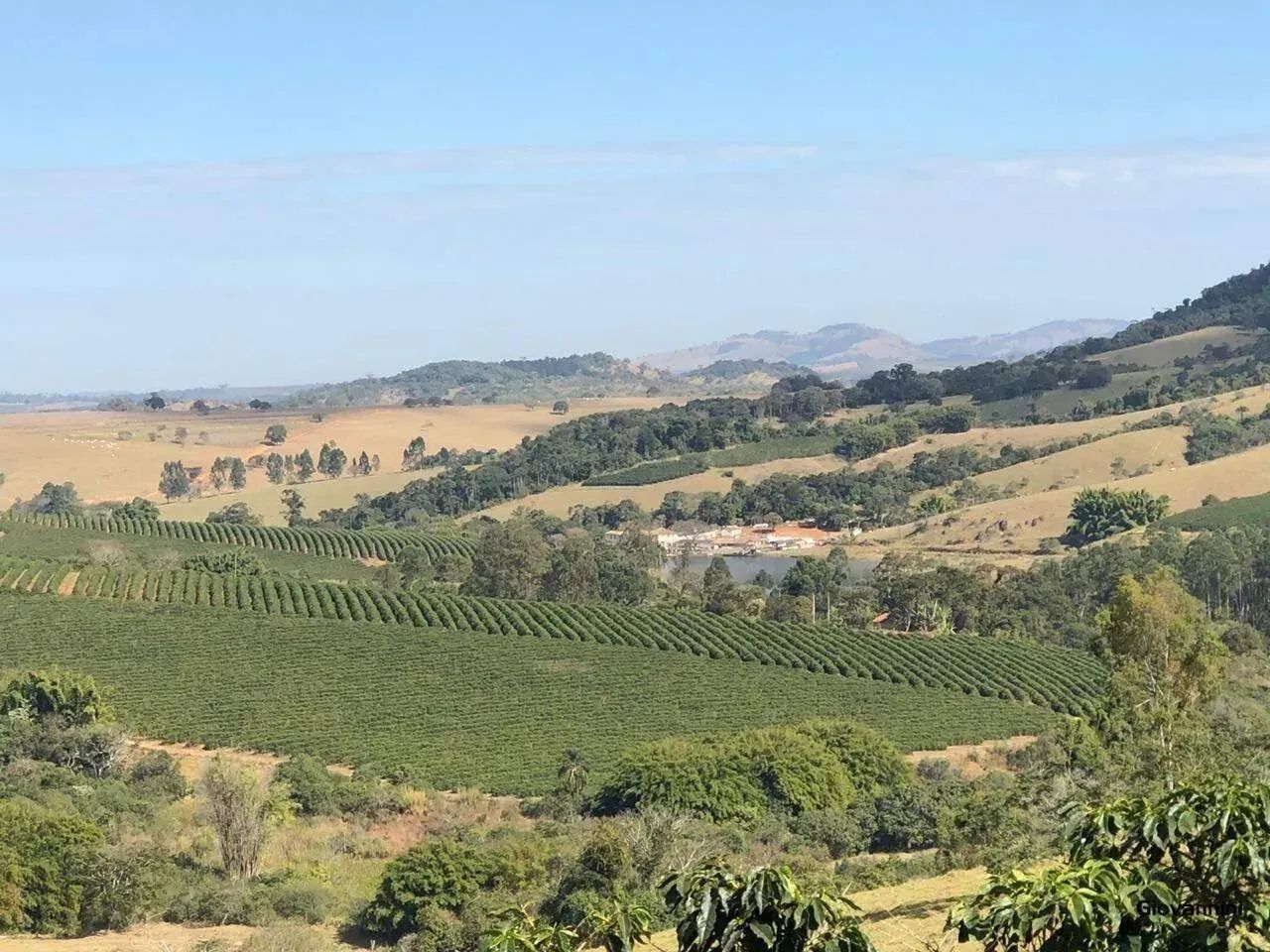 Fazenda de Café e Gado em Bom Sucesso - Minas Gerais - Foto 5
