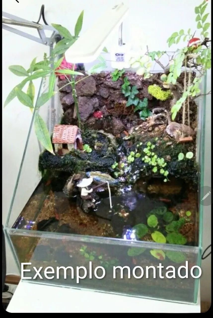 Aquario paludario 38x42x42x18