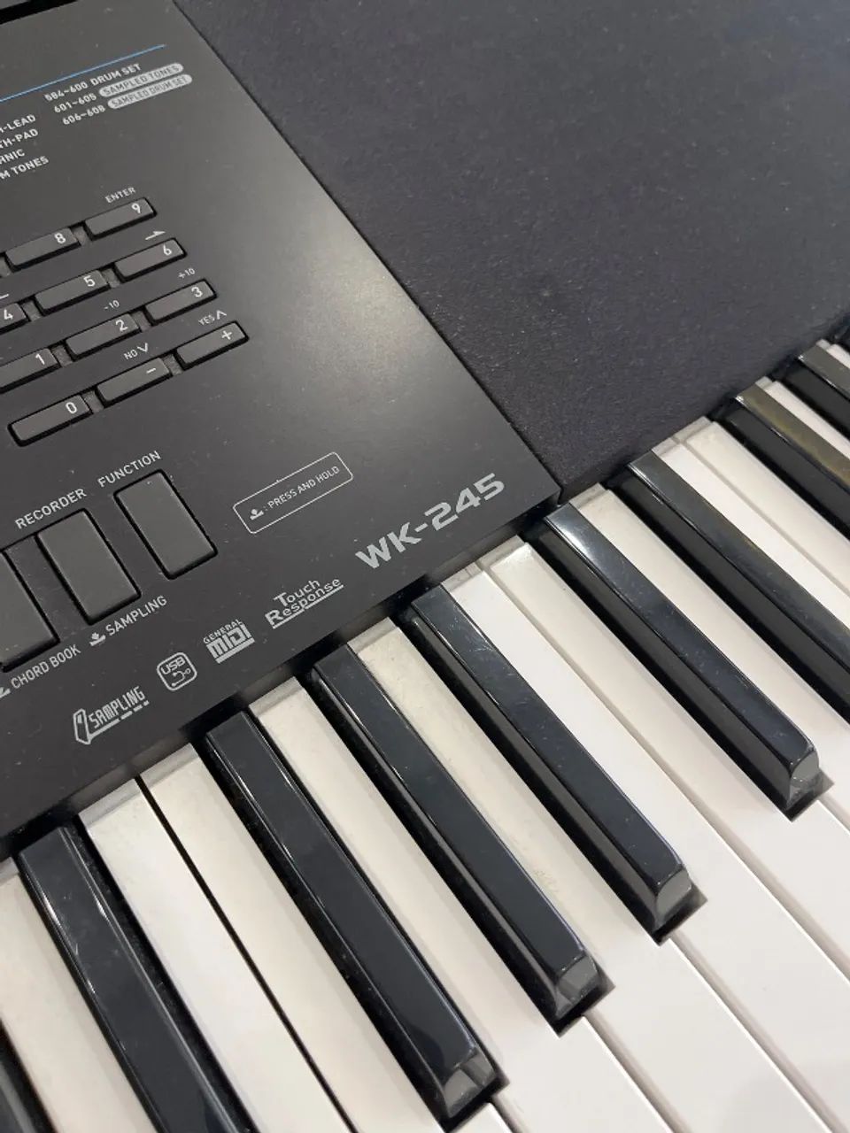 Teclado Casio WK-245, Semi-Novo, com Suporte