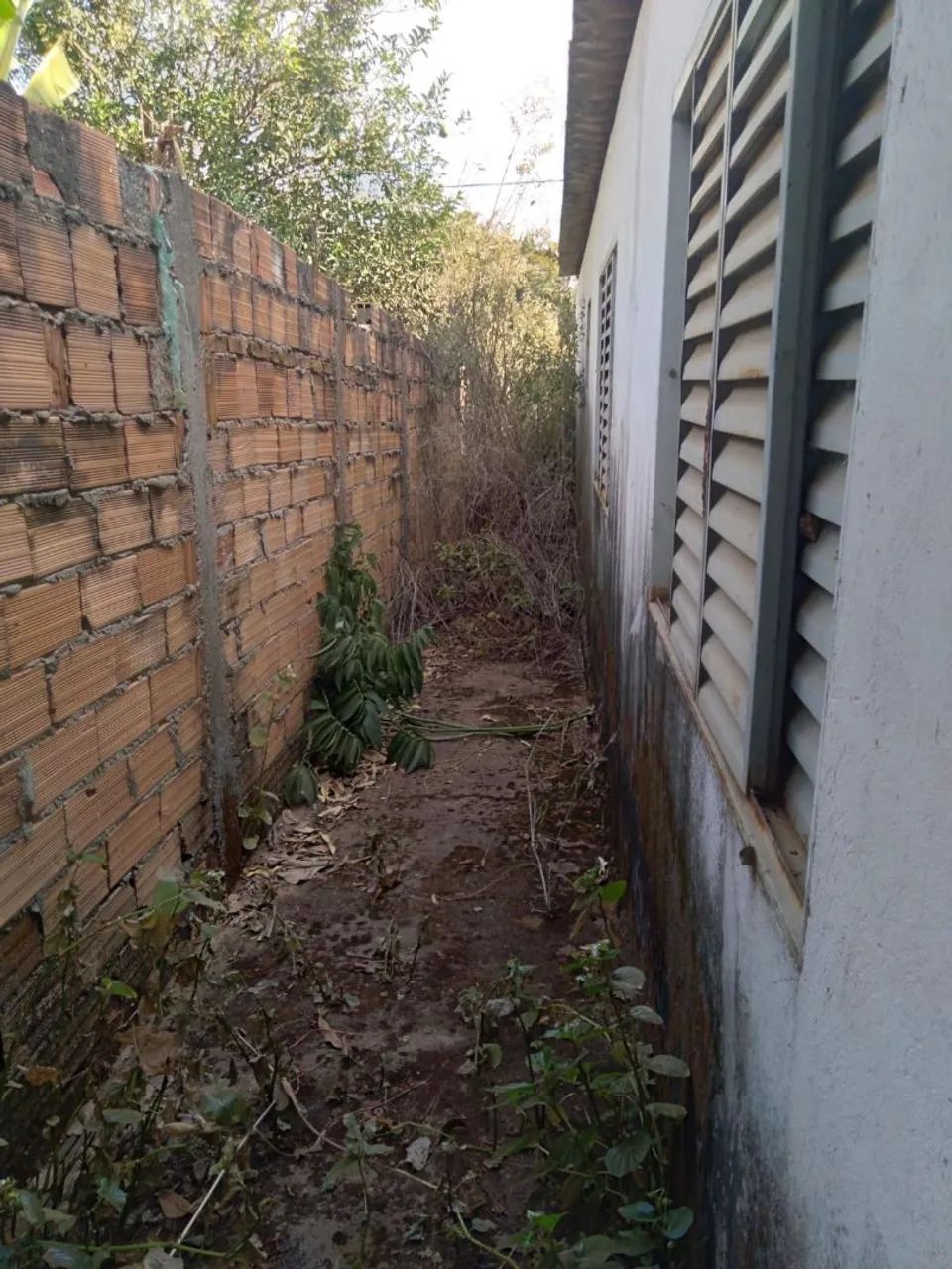 Foto - Aparecida de Goiânia - Cidade Livre