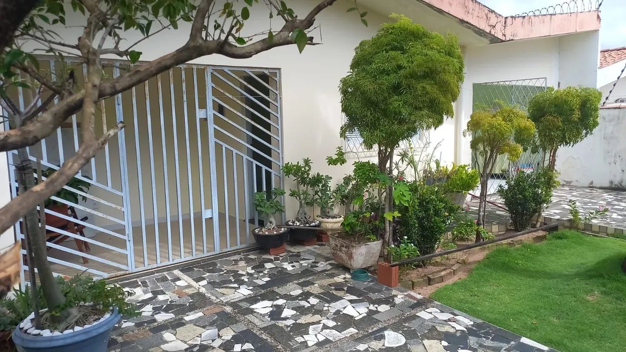 Foto - Natal - Ponta Negra