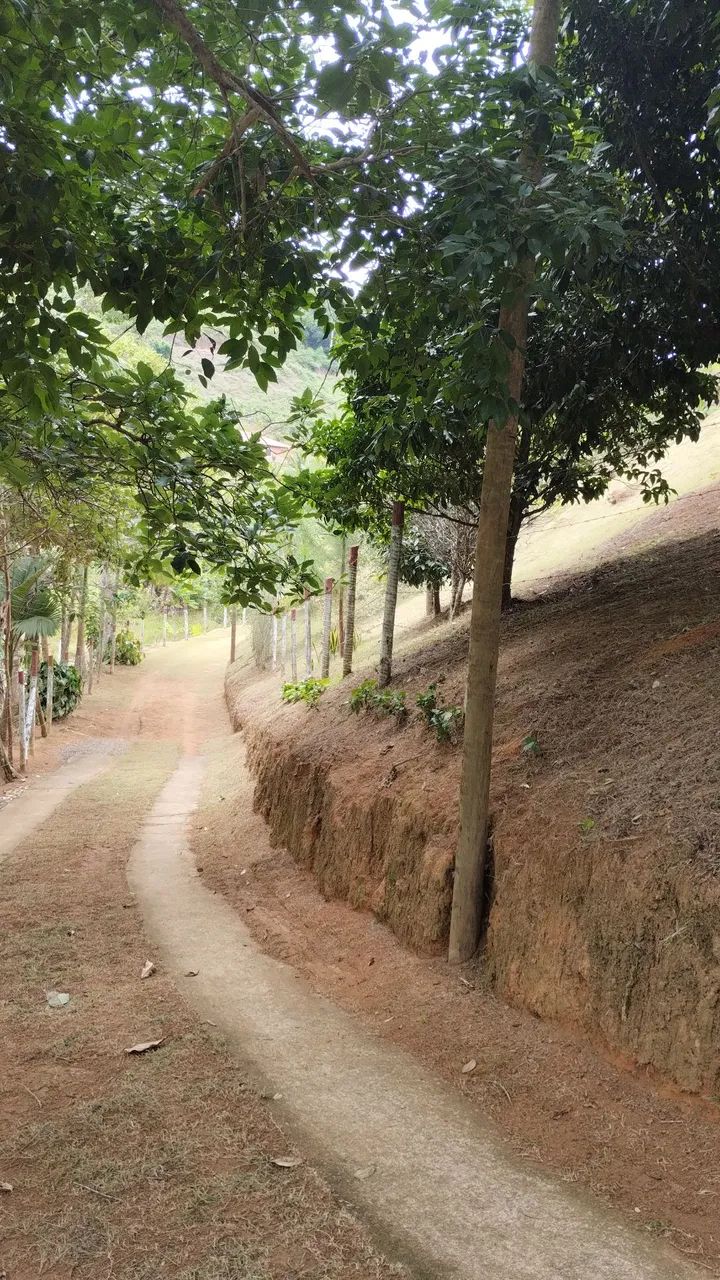 Sítio em santa teresa - Foto 3